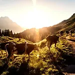 Mountain Base Fieberbrunn