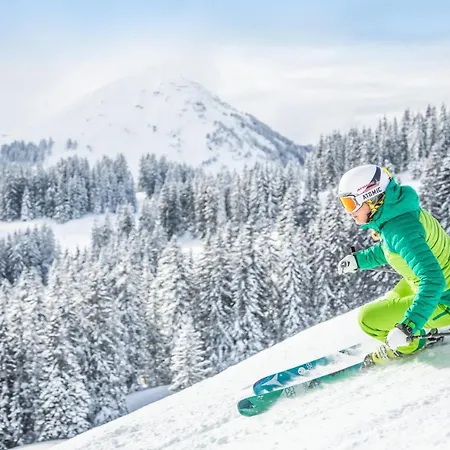 Apartament Mountain Base Fieberbrunn