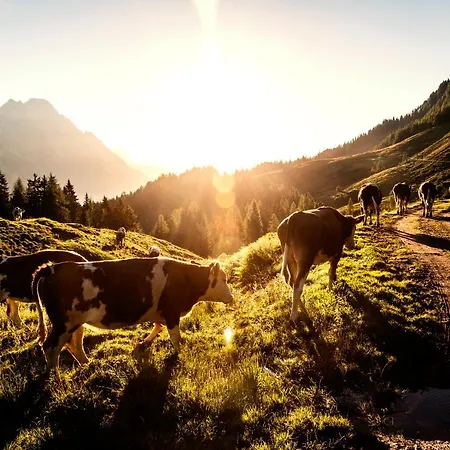 Mountain Base Fieberbrunn